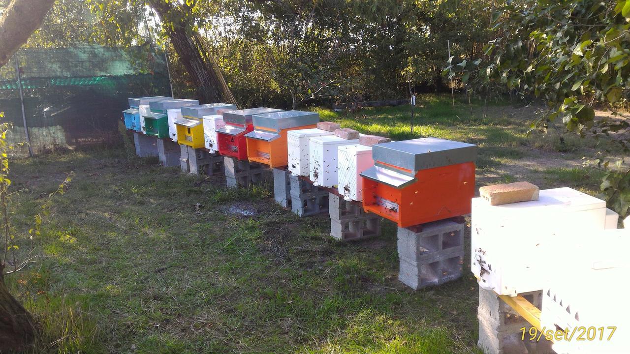 Vaccarizza L'Ape In Corte Casa Di Campagna, Via Francigena Stanze E Colazione المظهر الخارجي الصورة