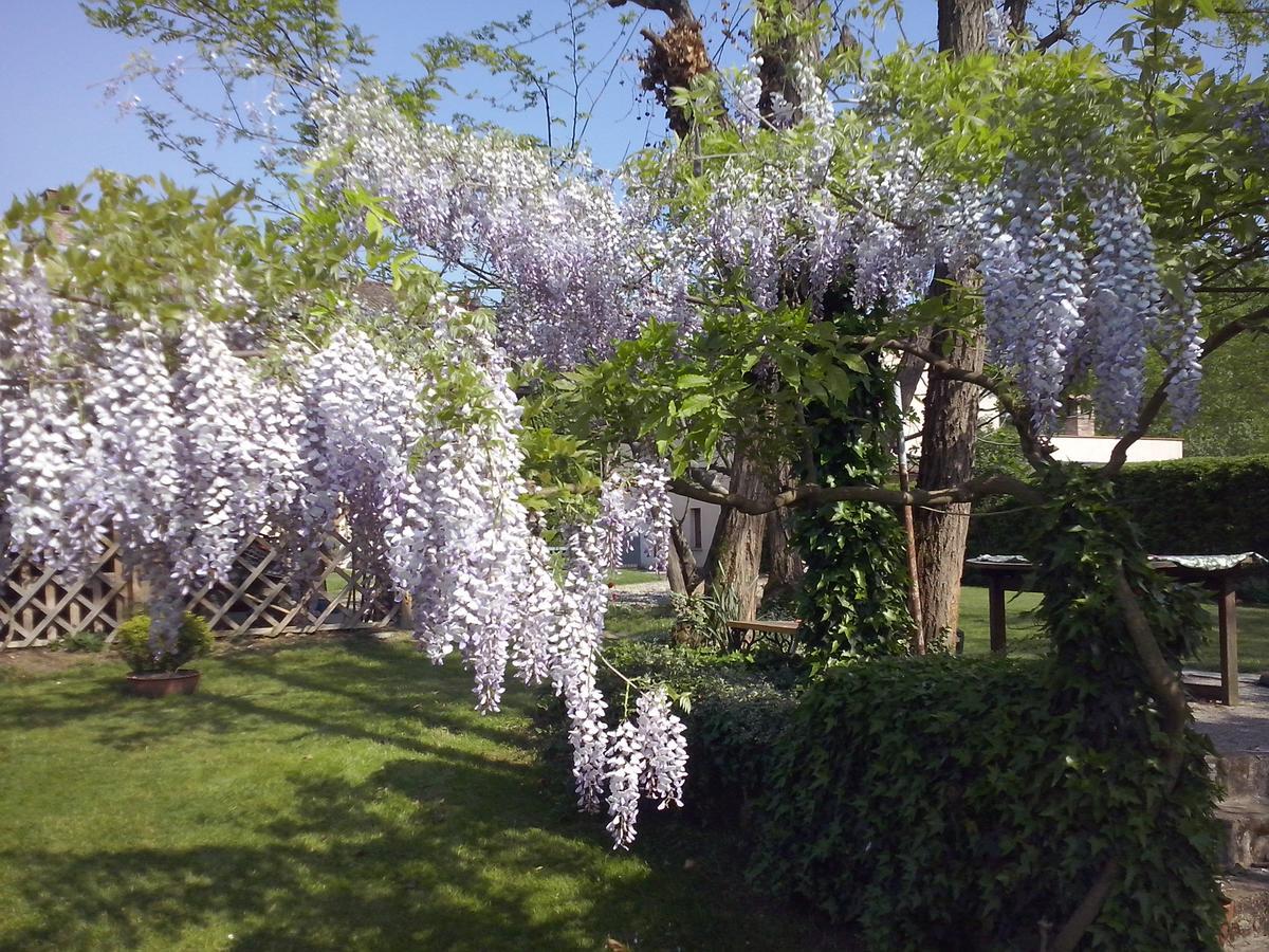 Vaccarizza L'Ape In Corte Casa Di Campagna, Via Francigena Stanze E Colazione المظهر الخارجي الصورة